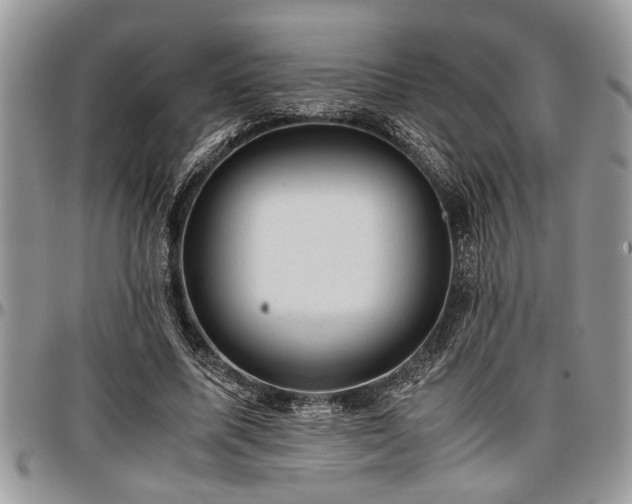 X0000096940587200802151217