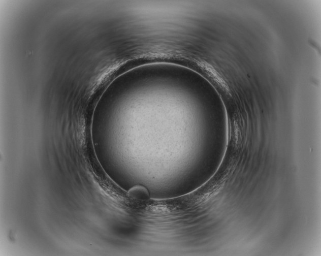 X0000096940588200802151217