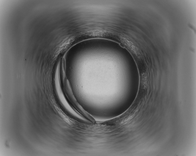 X0000096940589200802151217