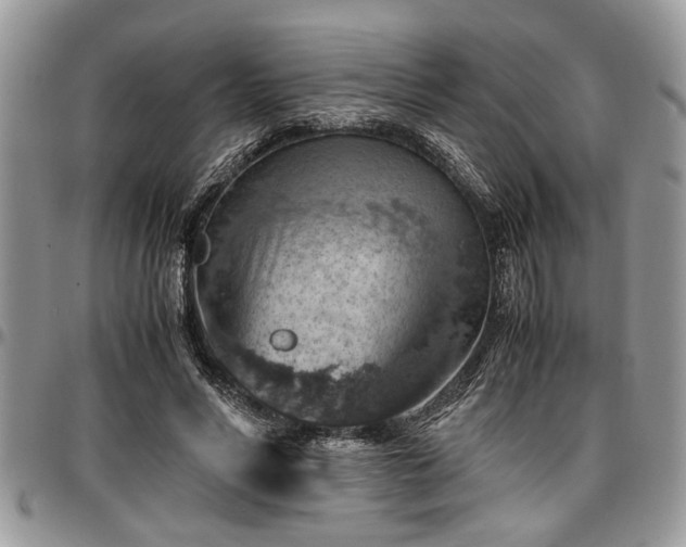 X0000096940590200802151216