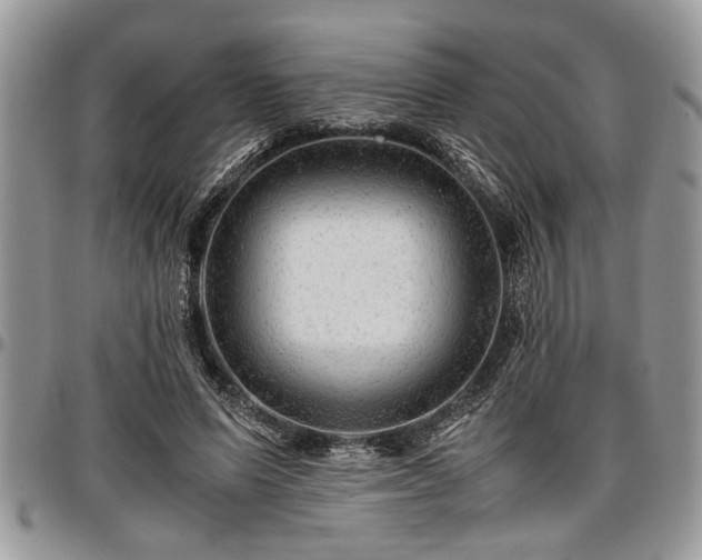X0000096940591200802151216