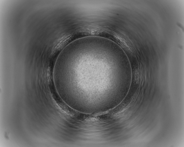 X0000096940594200802151216