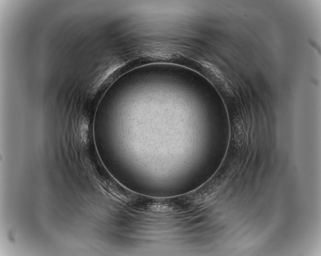 X0000096940596200802151216