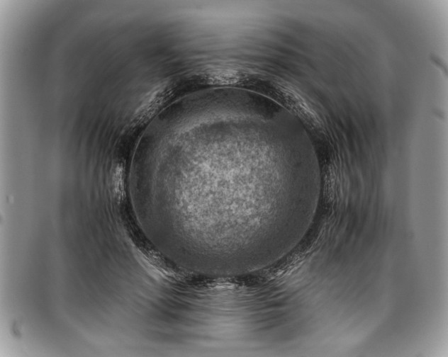 X0000096940598200802151216