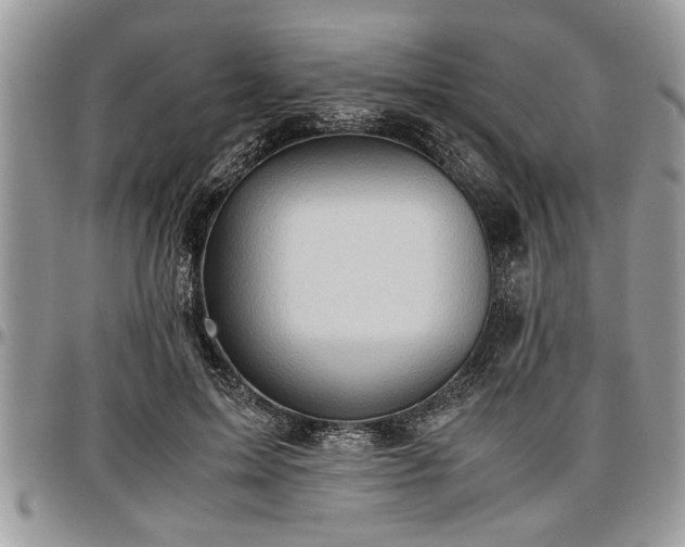 X0000096940599200802151216