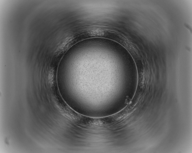 X0000096940600200802151216