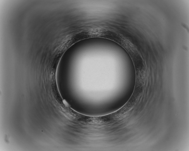 X0000096940601200802151216
