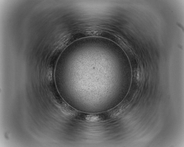 X0000096940602200802151216