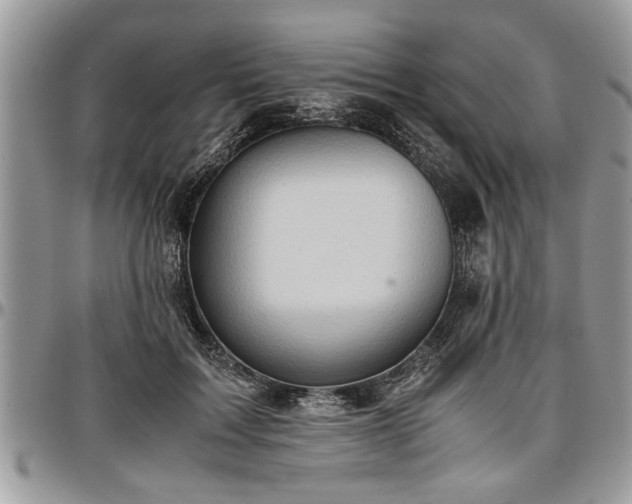 X0000096940603200802151216