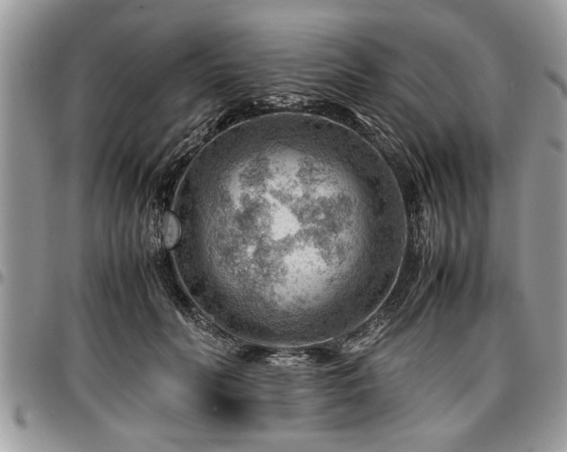 X0000096940606200802151216