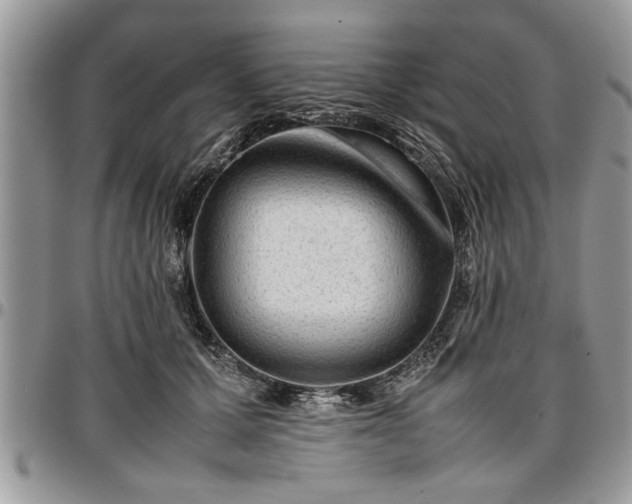 X0000096940607200802151216