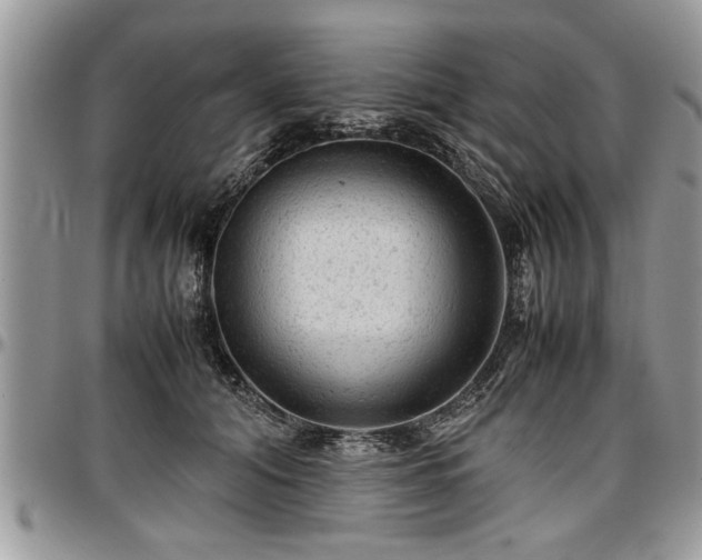 X0000096940608200802151216