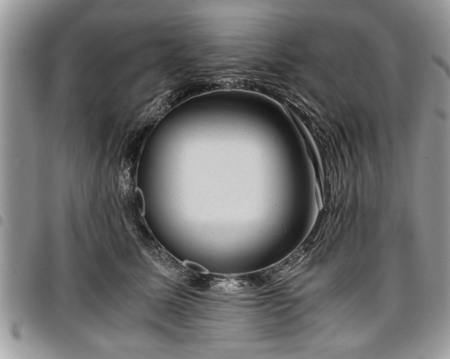 X0000096940611200802151216