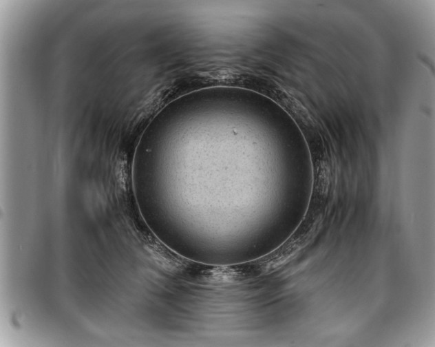 X0000096940612200802151216