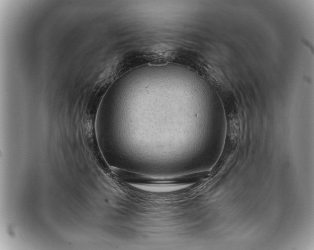 X0000096940613200802151216