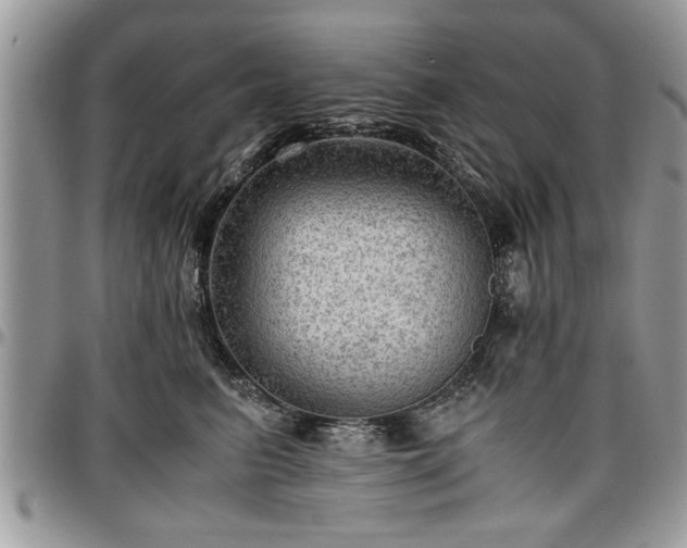 X0000096940615200802151216