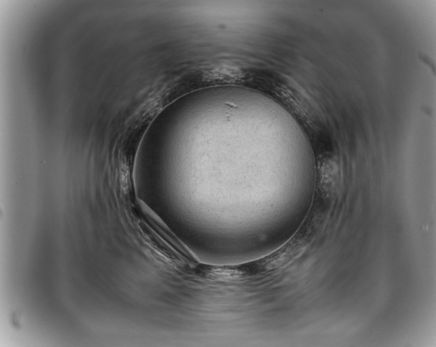 X0000096940617200802151216
