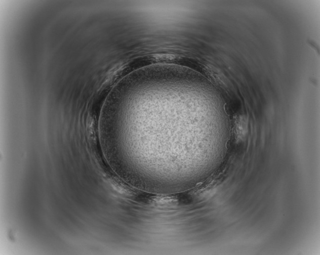 X0000096940619200802151216