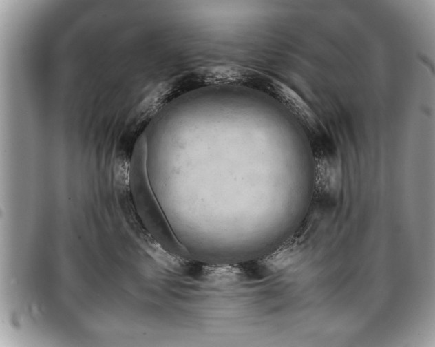 X0000096940621200802151216