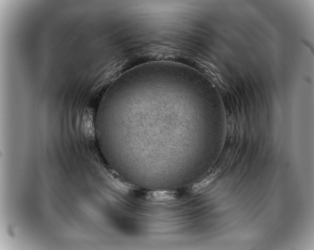 X0000096940622200802151216