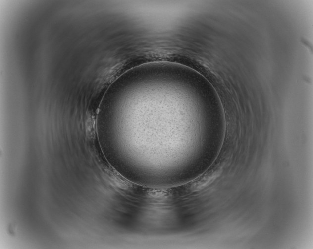 X0000096940624200802151216
