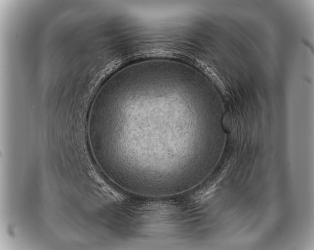 X0000096940625200802151215