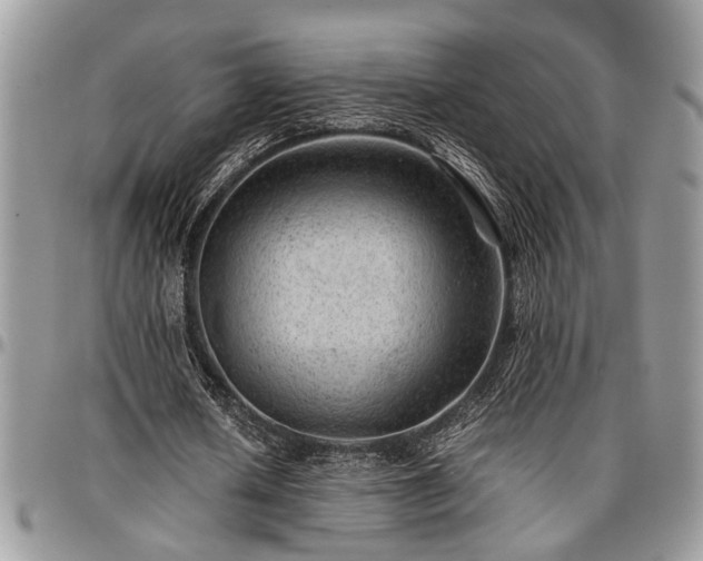 X0000096940626200802151215