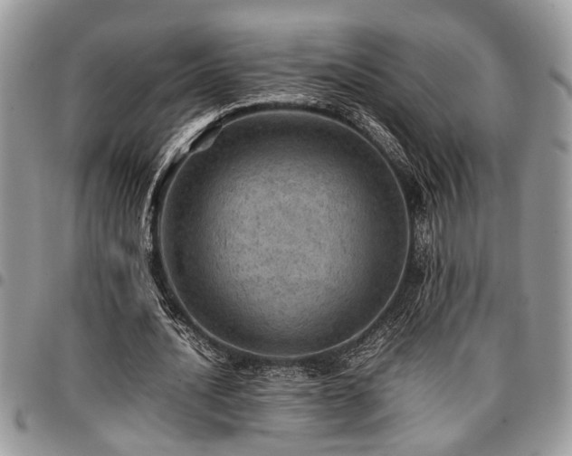 X0000096940628200802151215