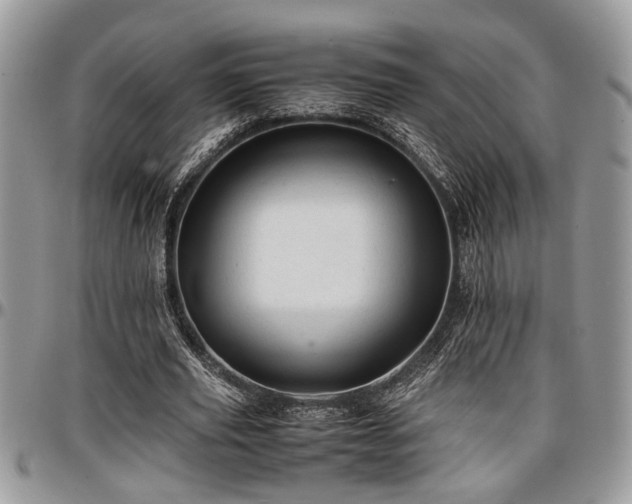 X0000096940629200802151215