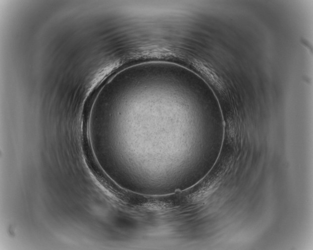 X0000096940630200802151215