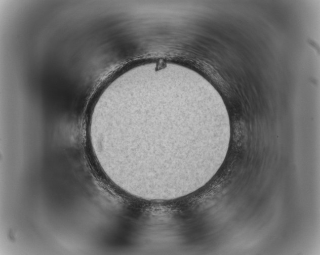 X0000096940632200802151215