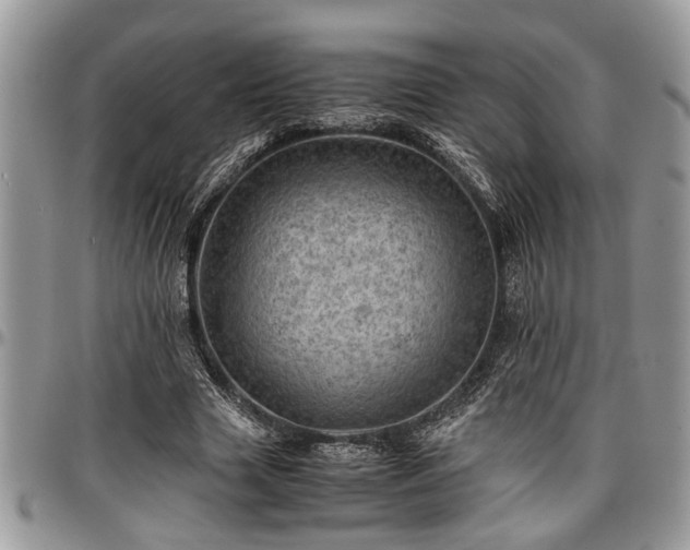 X0000096940633200802151215