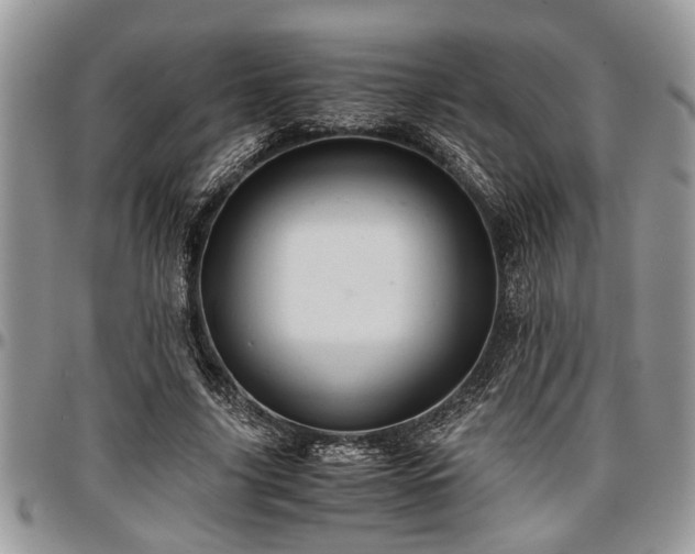 X0000096940635200802151216
