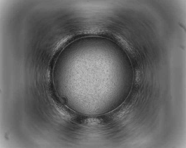X0000096940636200802151216
