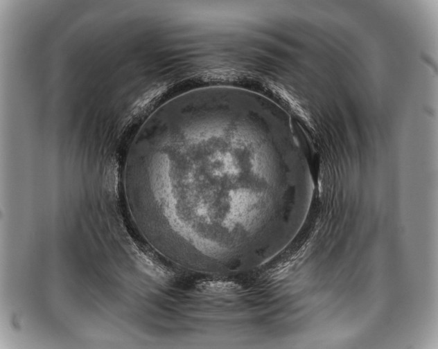 X0000096940637200802151216