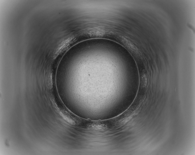 X0000096940638200802151216