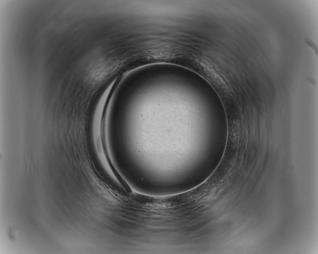 X0000096940639200802151216