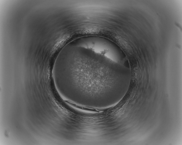 X0000096940640200802151216