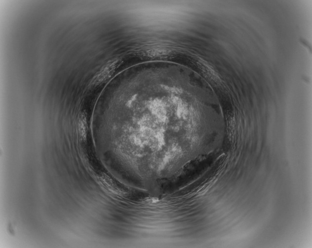 X0000096940644200802151216