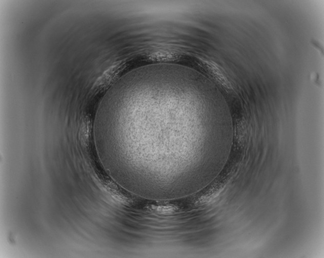 X0000096940645200802151216