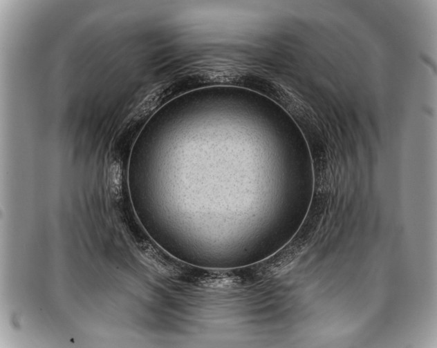 X0000096940646200802151216