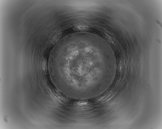 X0000096940651200802151216