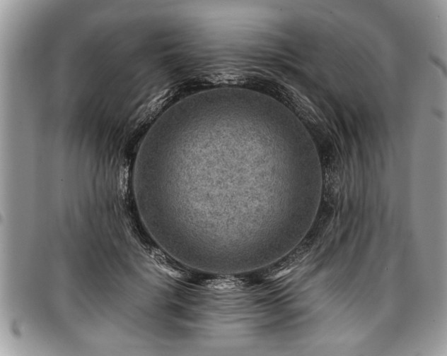 X0000096940652200802151216