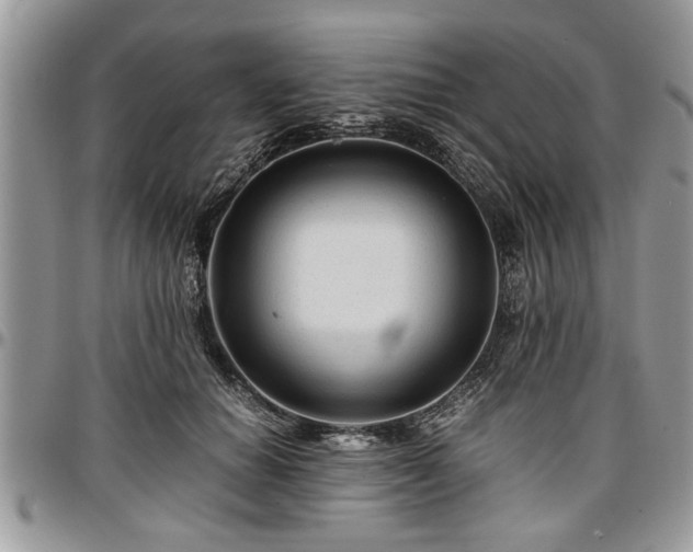 X0000096940654200802151216