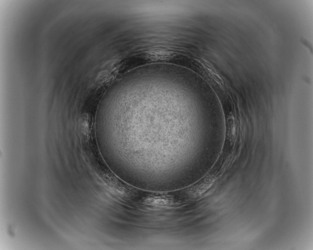 X0000096940655200802151216
