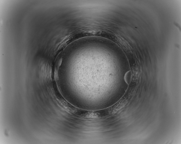X0000096940656200802151216
