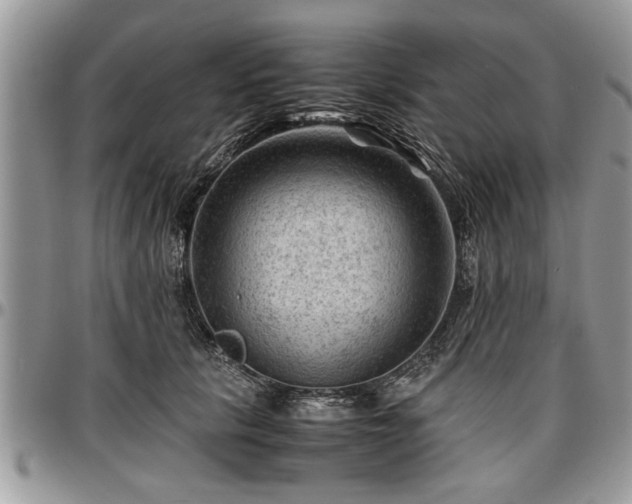 X0000096940657200802151216