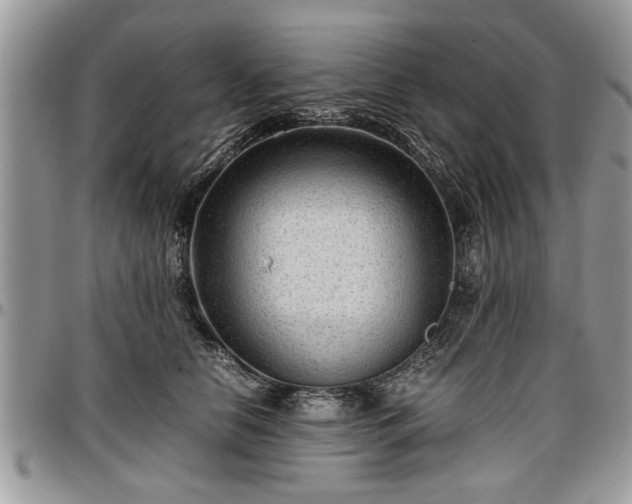 X0000096940658200802151216