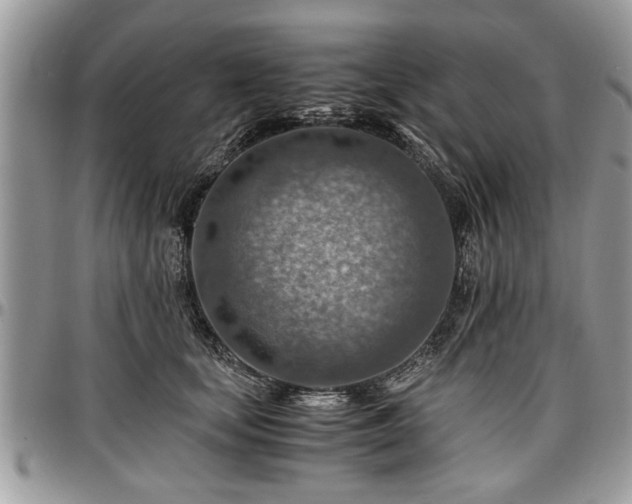 X0000096940659200802151216