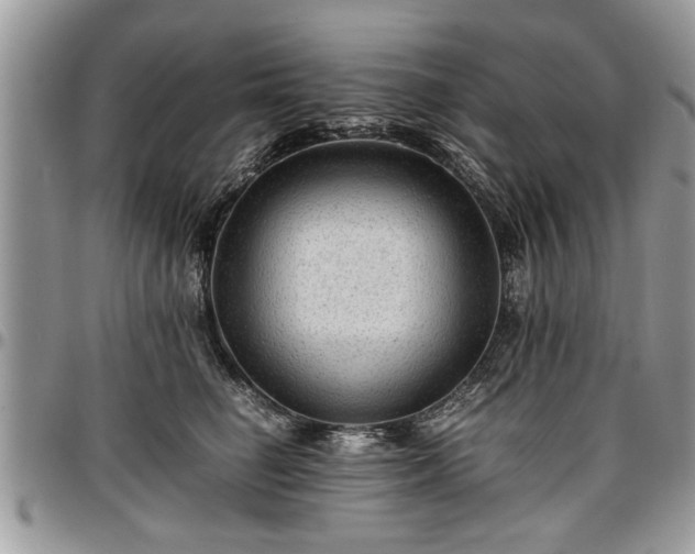 X0000096940662200802151216